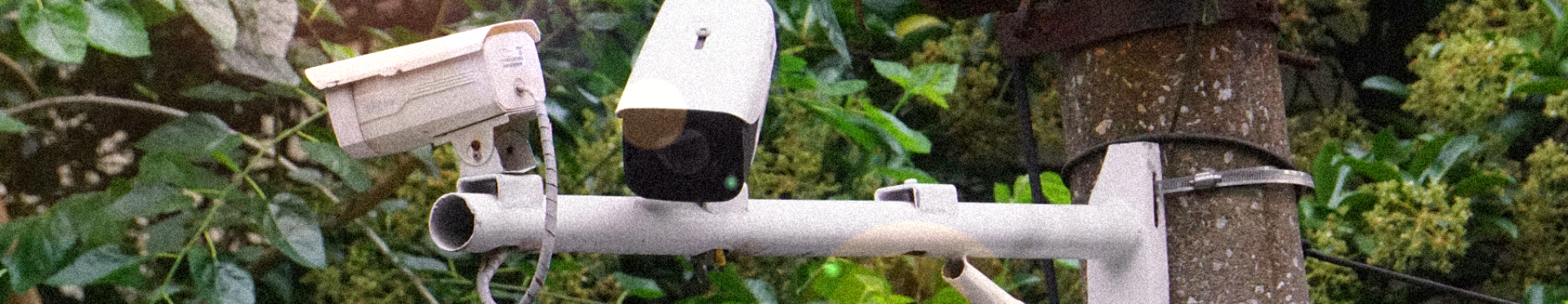Cameras spying